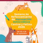 En CDMX vacunación antirrábica Gratis para perros y gatos