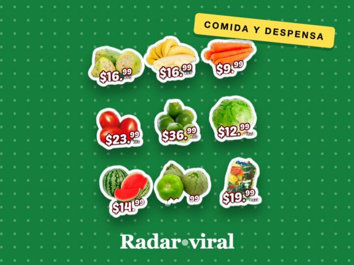 La compra para la despensa que rinde: frutas y carnes de Súper Guajardo aparecen rebajadas